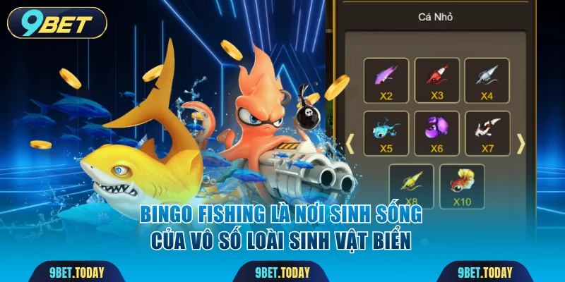 Bingo Fishing là nơi sinh sống của vô số loài sinh vật biển