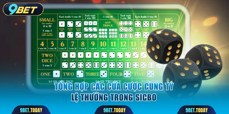 Tổng hợp các cửa cược cùng tỷ lệ thưởng trong sicbo